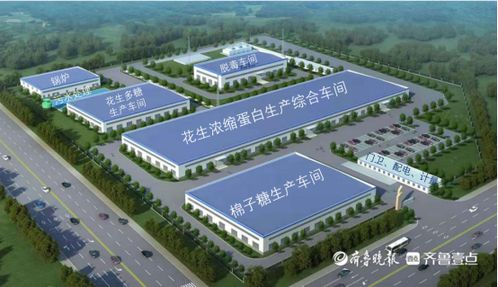 農產品加工高新技術項目落地濟南，技術服務直擊企業需求